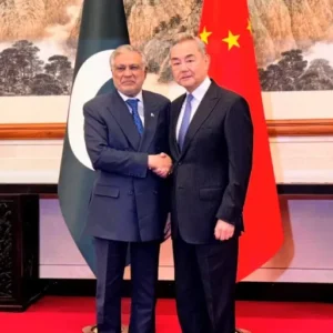 Picture of Muhammad Qasim